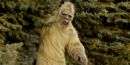 Man opens fire in national park ‘because he thought he saw Bigfoot’