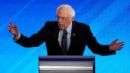 Sanders lays out his 'radical dream' to solve climate change