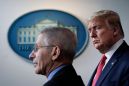 Anthony Fauci concludes ‘with a high degree of confidence’ that Donald Trump is ‘not shedding infectious virus’, NBC says