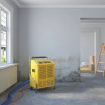 whole room dehumidification